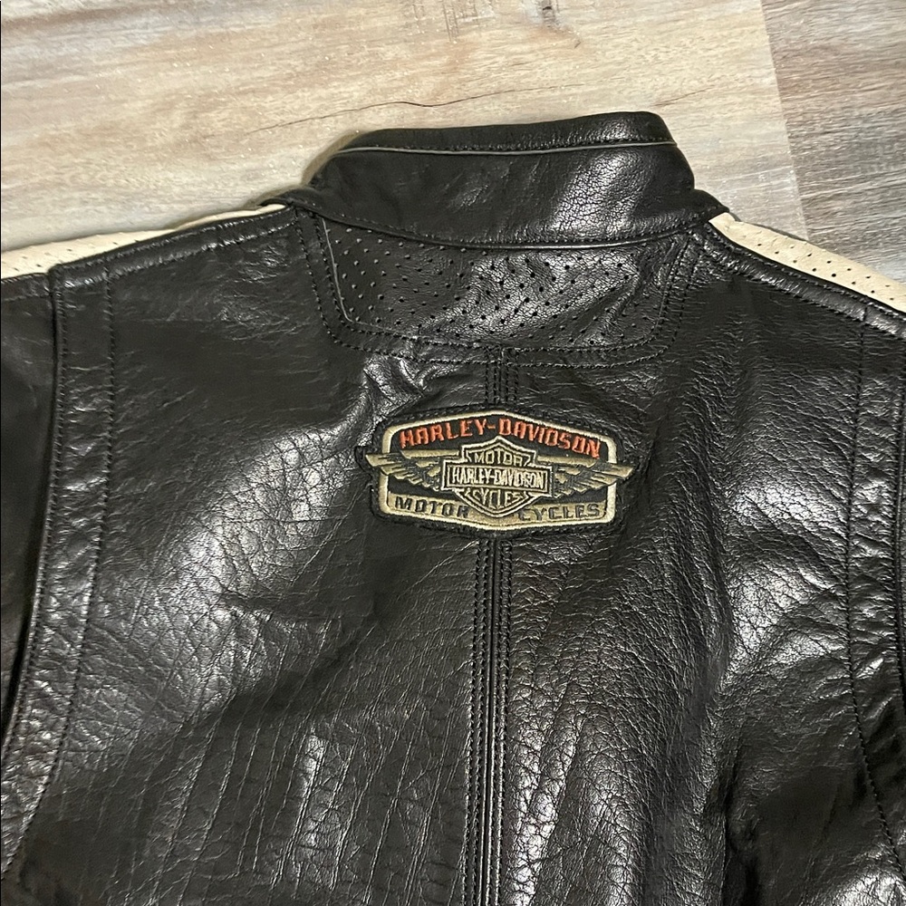 Men’s Harley-Davidson - Picture 5 of 5